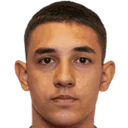 Стефан Марчетич