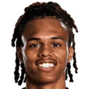 Лаун Срданович