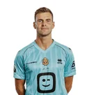 Ортвин де Вольф