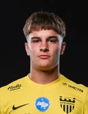 Алексей Орлов