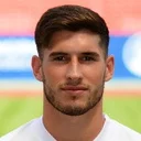 Робін Хойссер