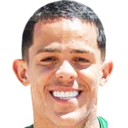 Валлиссон Луис Алвес Максимо