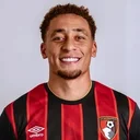 Маркус Тавернье