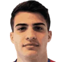 Віце Мільяніч