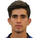 Аліреза Коушки