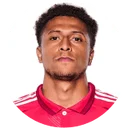 Рафаель Сантос