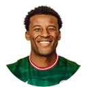 Джорджиньйо Вейналдум