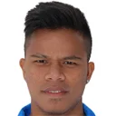 Манахати Лестусен