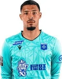 Тео де Персин