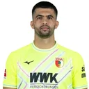 Недилько Лабрович