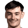 Дилан Левитт
