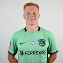 Михайло Шершень