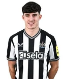 Тіно Лівраменто