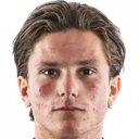 Mees Крікельс