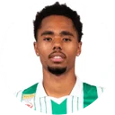 Петтер Носахаре Даль