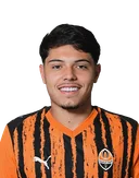 Лука Мейреллиш