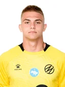 Виктор Мокрицкий