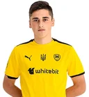 Денис Кондратюк