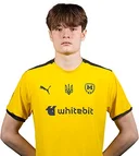 Віктор Цубін