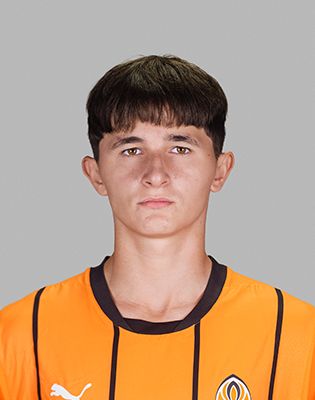 Михаил Решетников