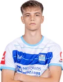 Ніко Фаркаш