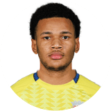 Фаллі Маюлу