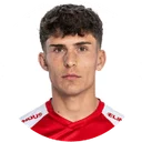 Тобиас Хедл