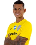 Фернандо Енріке