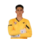 Арда Язиджи