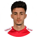 Никола Митуликич