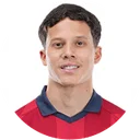 Давід Кайкі