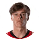 Тео Ле Норманд