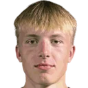 Ноюс Витис Audinis