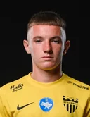 Виталий Лапко