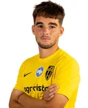 Ігор Грибеник