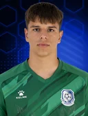 Александр Тарасенко