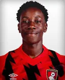 Домінік Саді