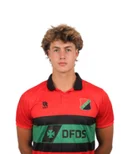 Мерайн ван де Вил