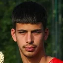 Неманья Відоєвич