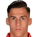 Домінік Солтес