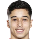 Жуан Педру Гомеш Палмберг