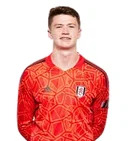 Альфі МакНеллі