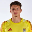 Арнас Войтіновічюс