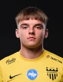 Артем Іліка