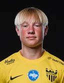 Дмитрий Стецюра