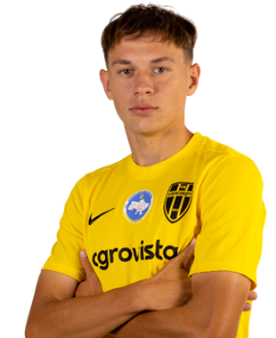 Роман Гриценко