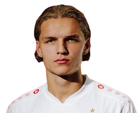 Тім ван дер Лей