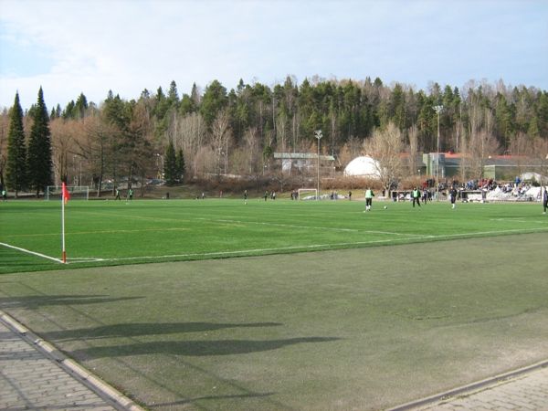 Kisapuiston tekonurmi