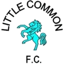 Літтл Коммон