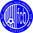Брезниця В